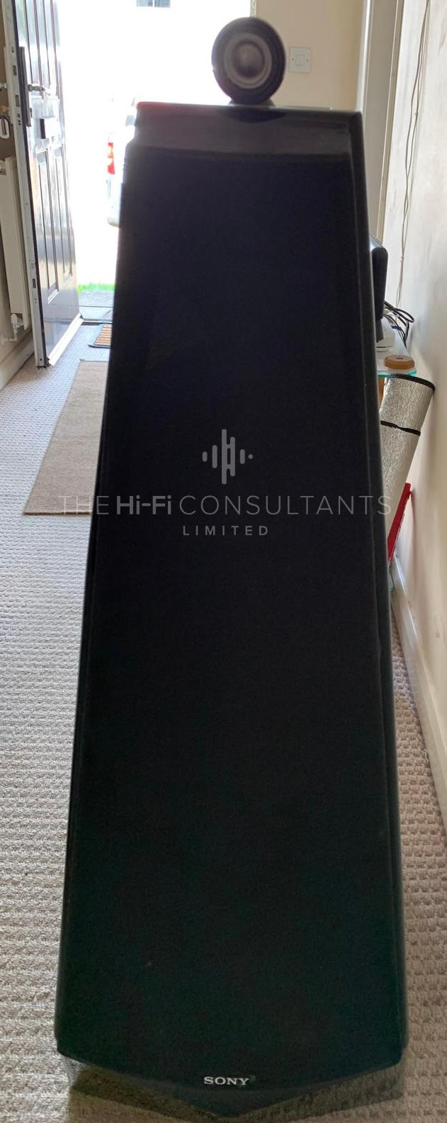 SONY ES SS-M9ED LOUDSPEAKERS (RARE)