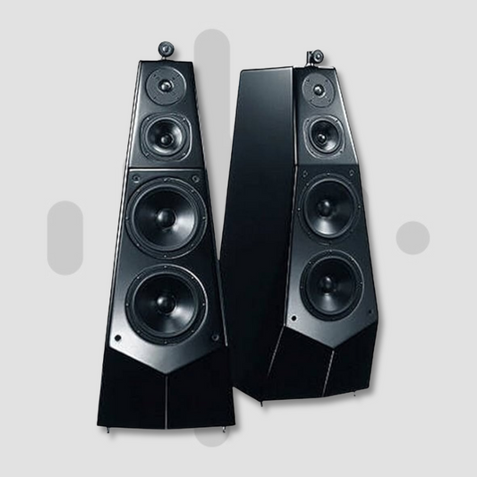 SONY ES SS-M9ED LOUDSPEAKERS (RARE)