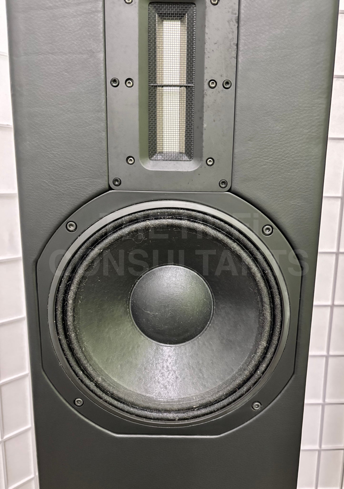 ROBSON ACOUSTICS VOLTAIRE REFERENCE 1V FLOORSTANDING LOUDSPEAKERS