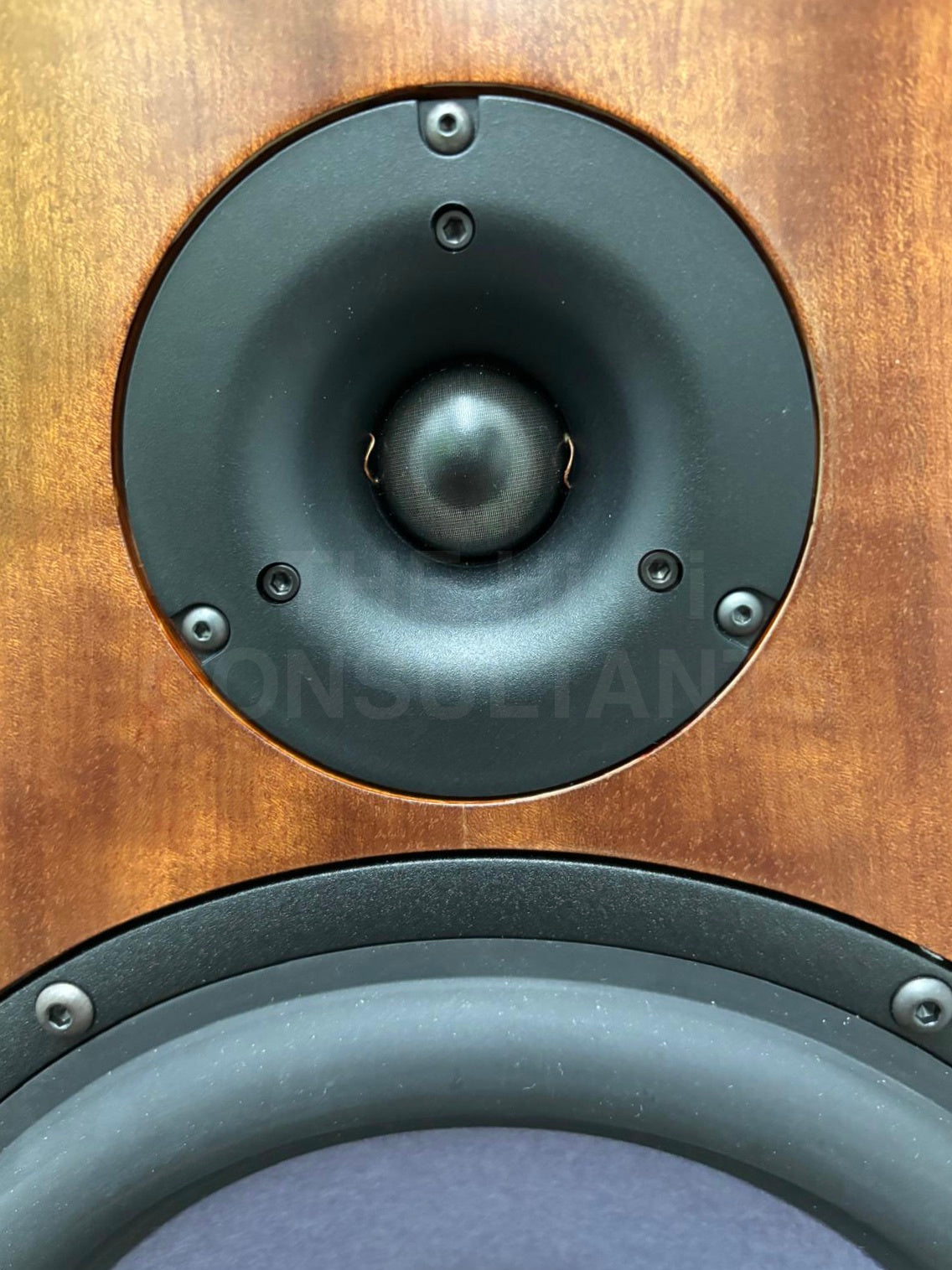 JOHN DEVORE ORANGUTAN 0/93 FLOORSTANDING LOUDSPEAKERS