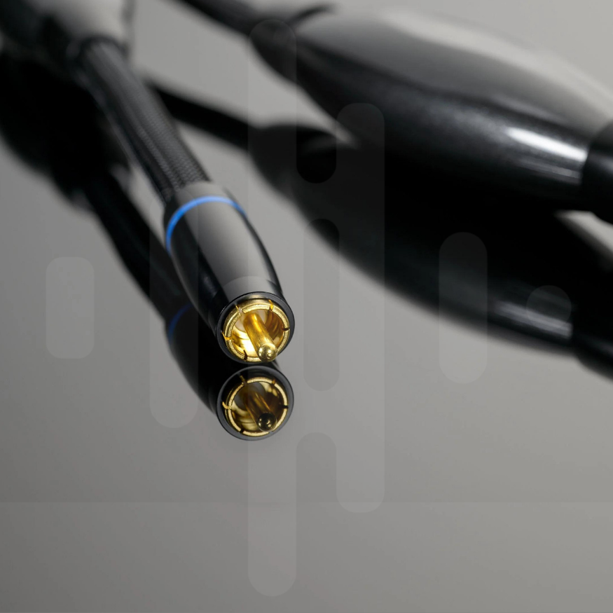 'XL' RCA Interconnect